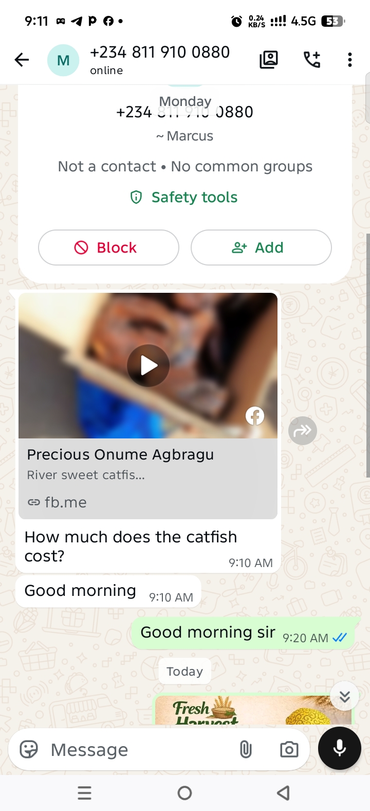 Catfish -Adamawa — image 2